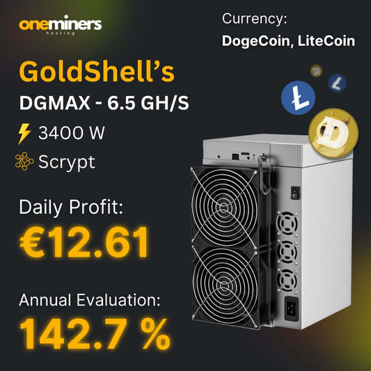 Goldshell DGMAX ASIC miner specifications: 6.5 GH/S, 3400W, daily profit €12.61 for Dogecoin and Litecoin.
