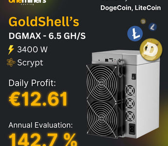 Goldshell DGMAX ASIC miner specifications: 6.5 GH/S, 3400W, daily profit €12.61 for Dogecoin and Litecoin.